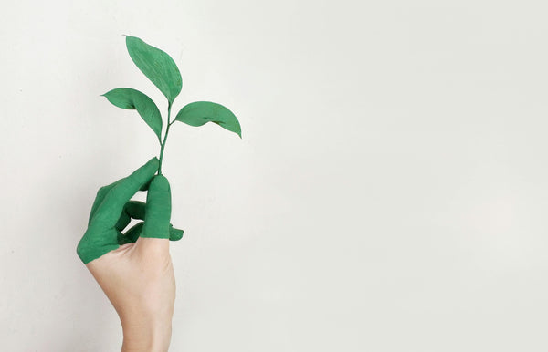 Sustainable Habits for Schools and Offices