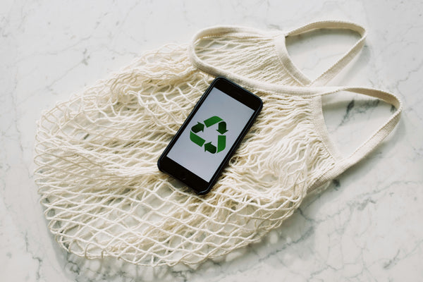 Simple Ways to Make Your Office More Eco-Friendly