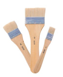Sp- Paint Brush Jasart Chunky Brush Trio