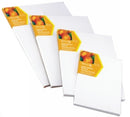 Canvas Board Reeves 40x30 Inch (Back Stapled)