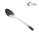 CUTLERY TEASPOON CONNOISSEUR S/STEEL BX12