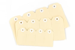AVERY #3 SHIPPING TAG 96X48 BUFF 1000