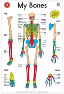 Sp- Poster Laminated Lcbf My Bones