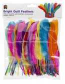 Quill Feathers Ec 60gm Brights