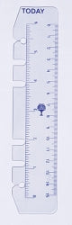 Sp- Dayplanner Refill Debden Today Ruler Dk1008