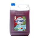 CLEANER NORTHFORK 5L GECA NEUTRAL