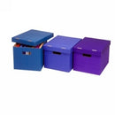 Sp- Archive Box Marbig Sto Away Asst Colours Pk2