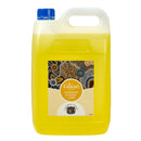Dishwashing Detergent Cultural Choice Lemon 5l