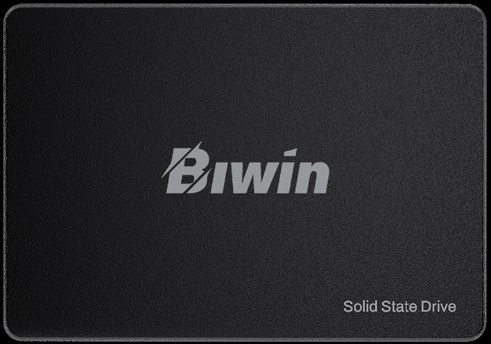 BIWIN M100-256G  SATA 2.5 up to 550MB/s & 500MB/s Case pack(Iner /Out) 30/120 Warranty 3-Year 80 TBW