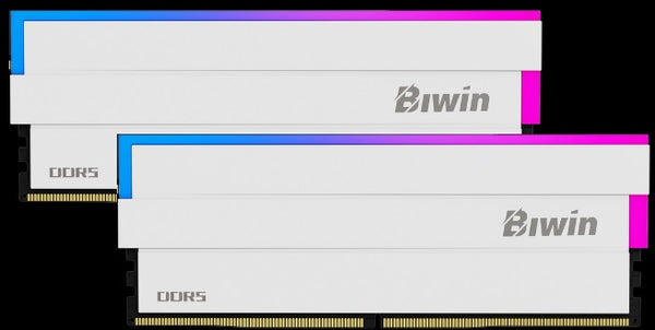 BIWIN DDR5 Memory DW100 RGB 6000mhz 32kits (16GB*2) CL34 White Black Opal (Gaming) BXL53260DW1-D34DW