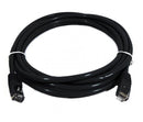 8Ware CAT6 Cable 0.25m - Black Premium RJ45 Ethernet Network LAN UTP Patch Cord 26AWG CU Jacket
