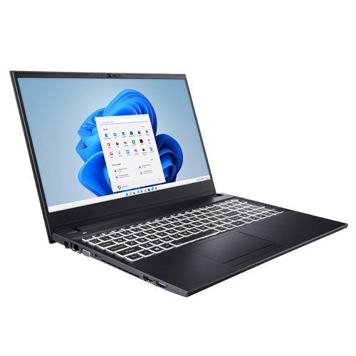 Leader Companion Plus 5C1, 15.6' FHD, Intel i7-1355U, 16GB DDR4, 500GB NVMe SSD, DVDRW, Wi-Fi 6, IrisÂ® Xe, HD Camera, Windows 11 Home, 2 Year Warranty