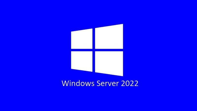 Microsoft Server Standard 2022 ( 24 Core ) OEM Physical Pack - P73-08346 Includes 2 x VM, Does not include any CALs