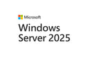 Microsoft Windows Server 2025 CAL English 1pk DSP OEI 1 Clt User CAL No Refund, No Downgrade